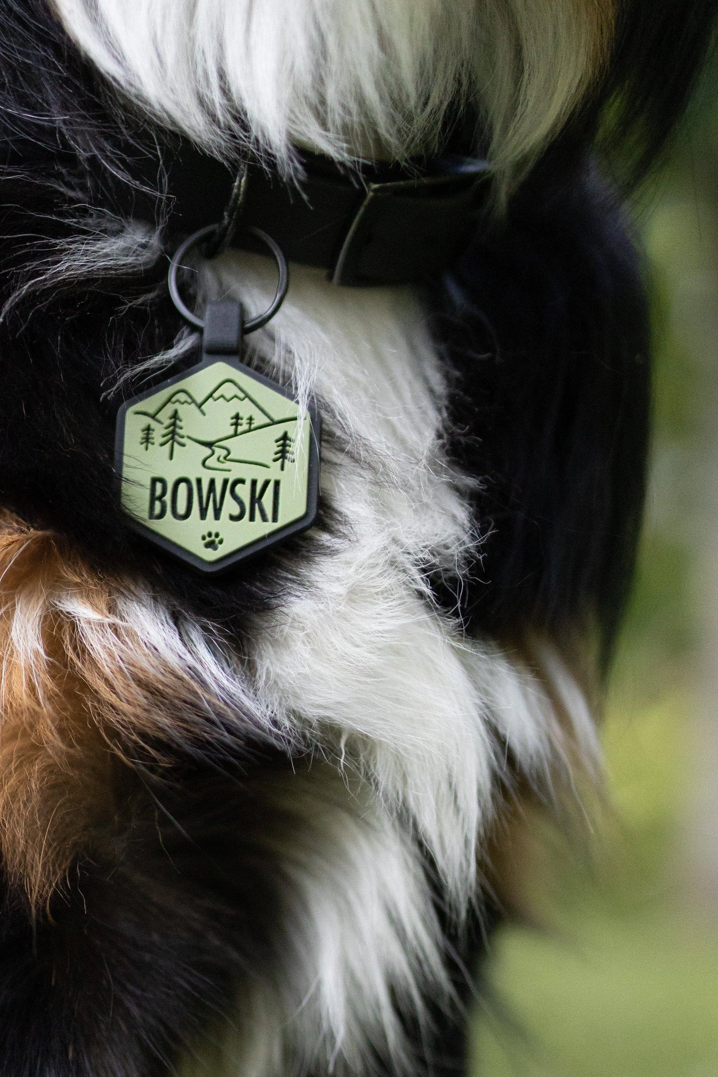 Besties Pets - Mountain Adventure Silicone Dog ID Tag
