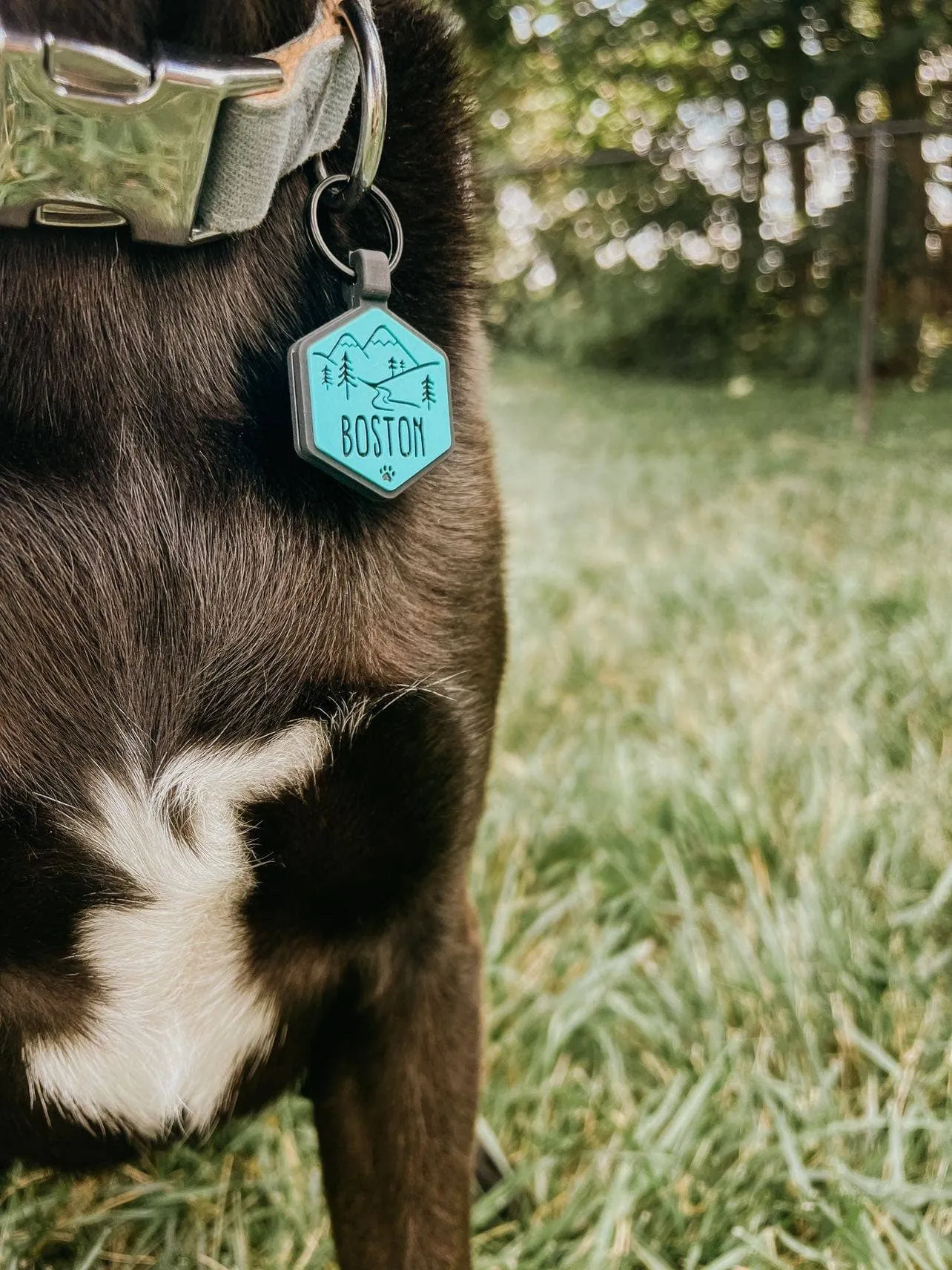 Besties Pets - Mountain Adventure Silicone Dog ID Tag