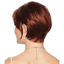 CONTEMPO CUT wig by Eva Gabor