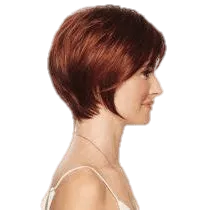 CONTEMPO CUT wig by Eva Gabor