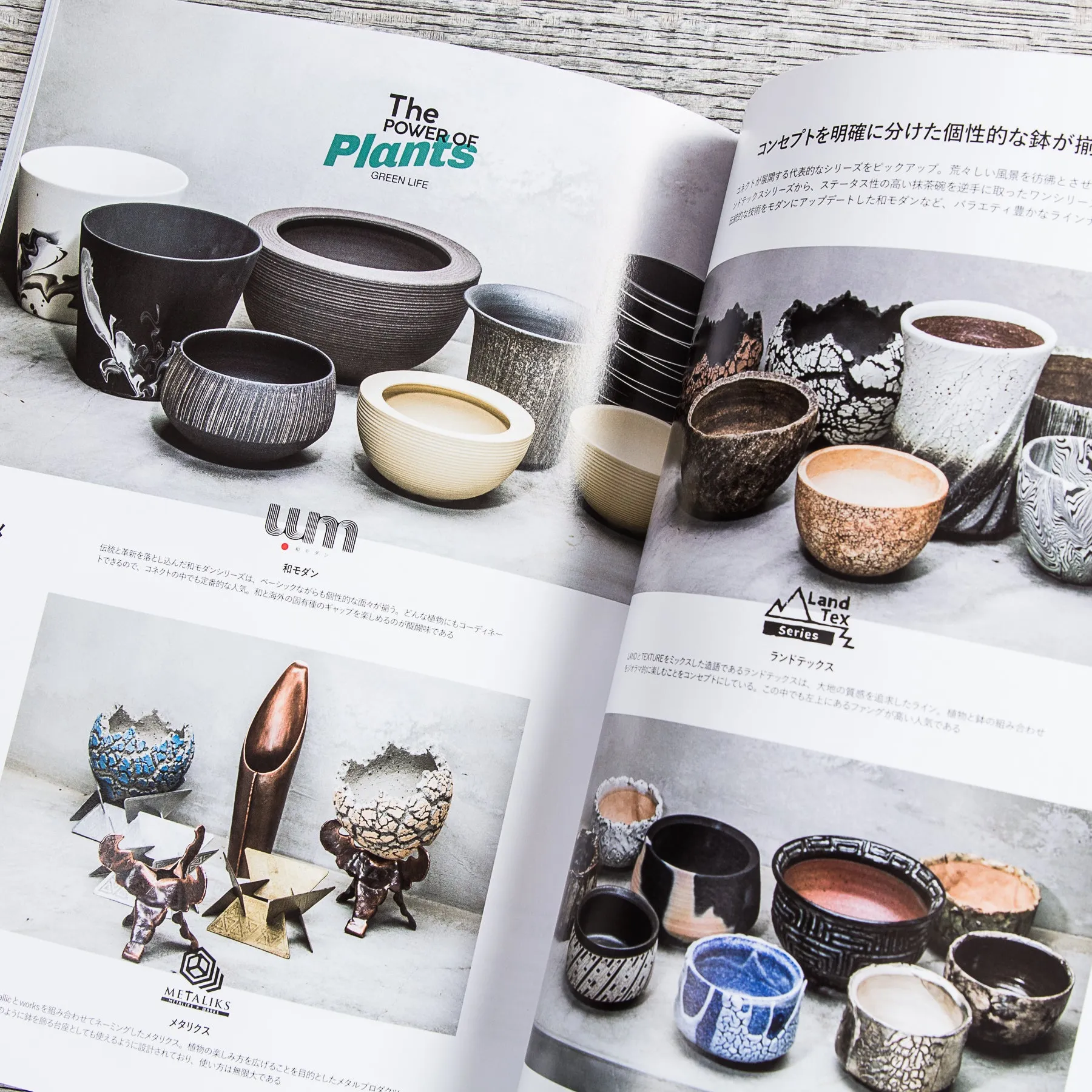 Lightning Magazine Green Life Vol. 207