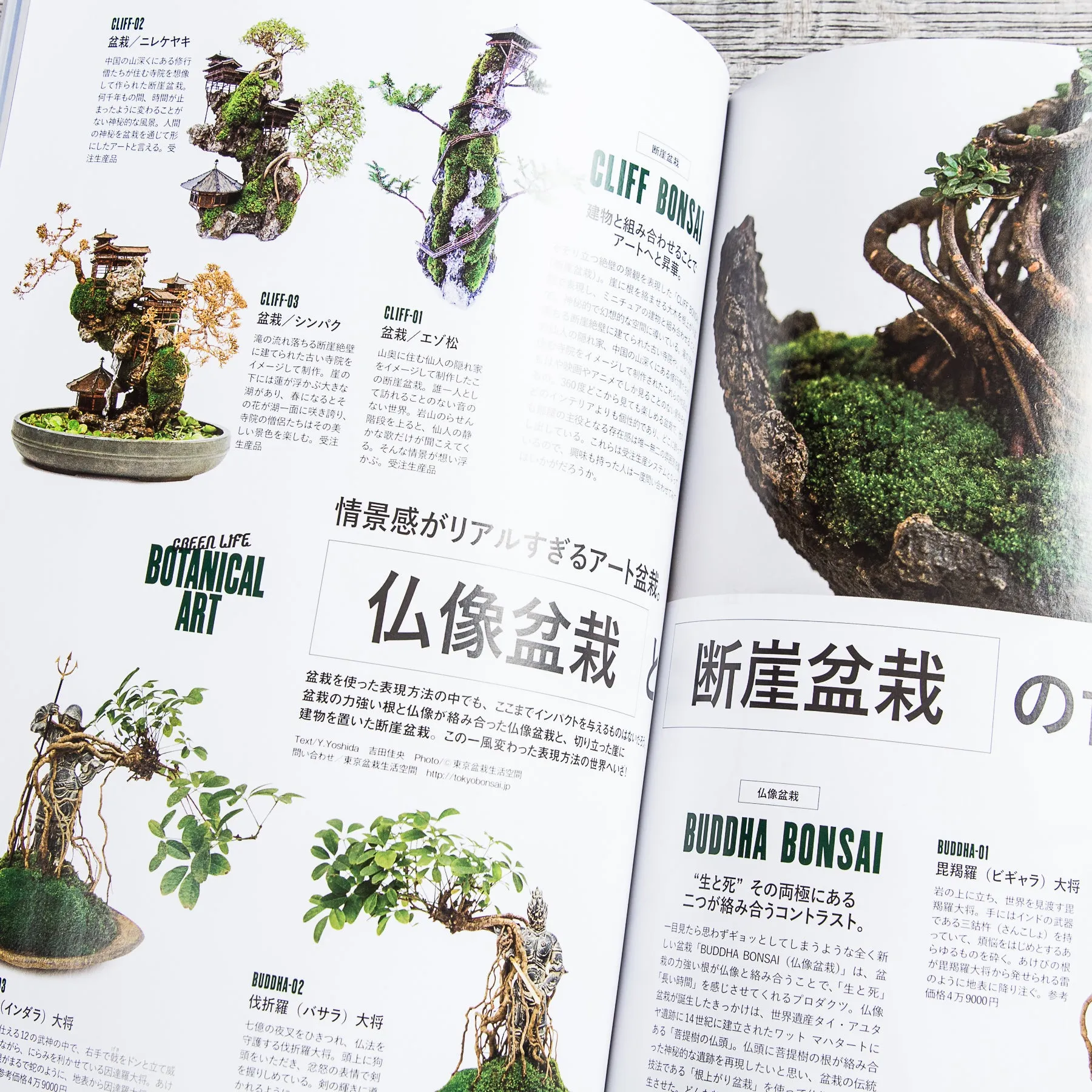 Lightning Magazine Green Life Vol. 207