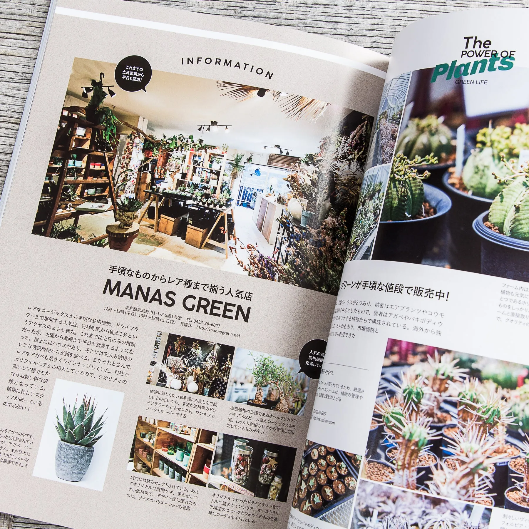 Lightning Magazine Green Life Vol. 207