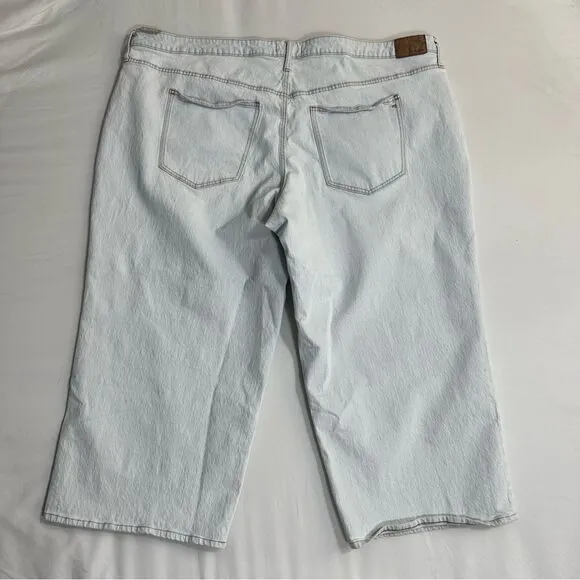 NWT Madewell The Perfect Vintage Wide-Leg Crop Jean Blue Light Wash Womens 28W