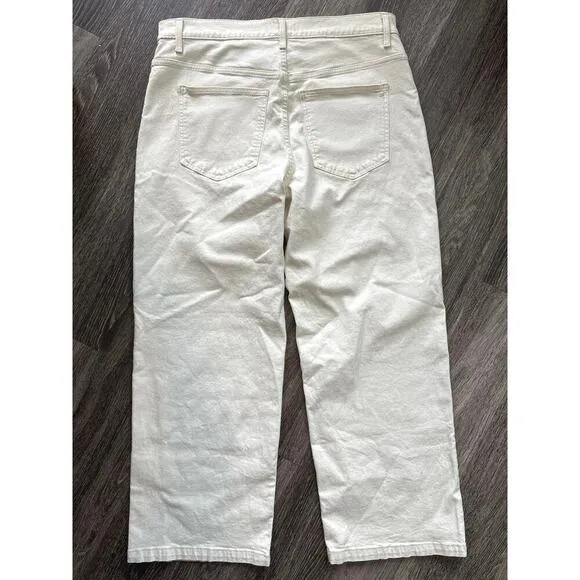 NWT Madewell The Perfect Vintage Wide-Leg Jean In Vintage Canvas Size 33