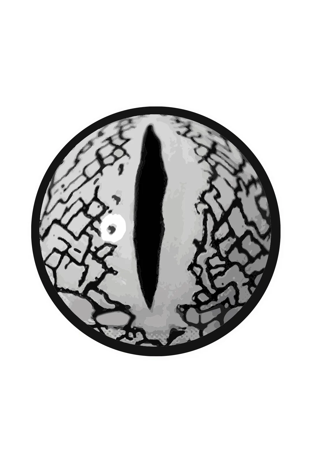 Party Lens #12 Silver Lizard Eye Contact Lenses