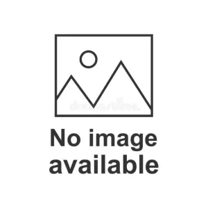 Patagonia Women's Regenerative Organic Certified™ Cotton Essential Shorts - 4" Inseam