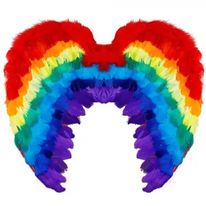 Rainbow Feather Wings